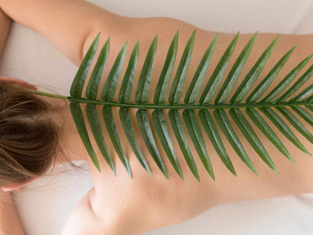 Kalyaan massages Lanester
